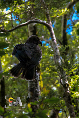 iso 400, f 10, 1/100s