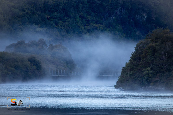 Fiordland, iso 1000, f 6.3, 1/320s
