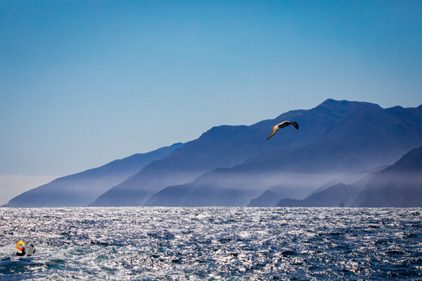 Fiordland, iso 2000, f 18, 1/2000s