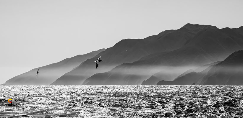 Fiordland, iso 2000, f 18, 1/2000s