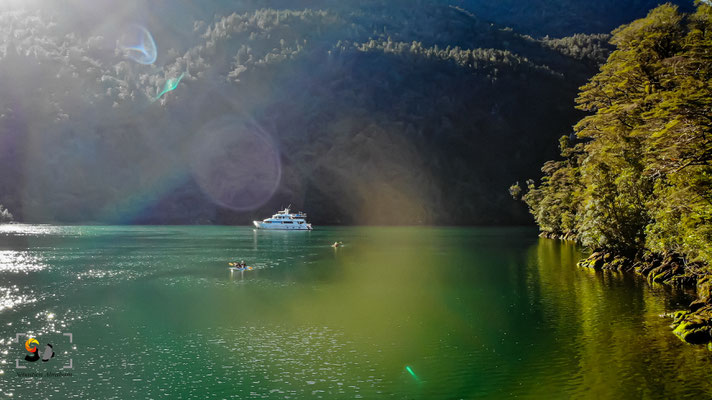 Fiordland, iso 100, f 2.8, 1/150s