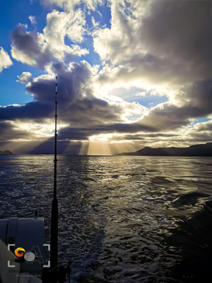 Marlborough sound, iso 100, f 1.6, 1/800s