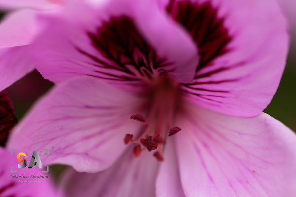 iso 100, f 2.8, 1/320s