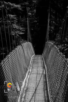 Milford track, iso 200, f 10, 1/400s