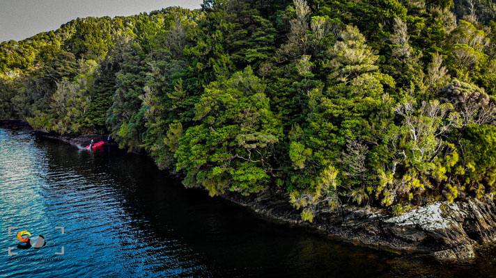 Fiordland, iso 160, f 2.8, 1/40s