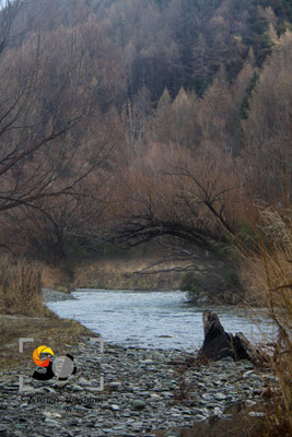 Arrowtown, 100, f 5.0, 1/125s