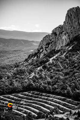 Provence, iso 200, f 6.3, 1/800s