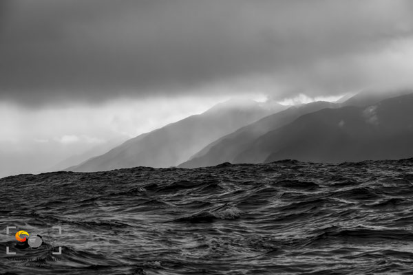 Fiordland, iso 2000, f 9, 1/2000s