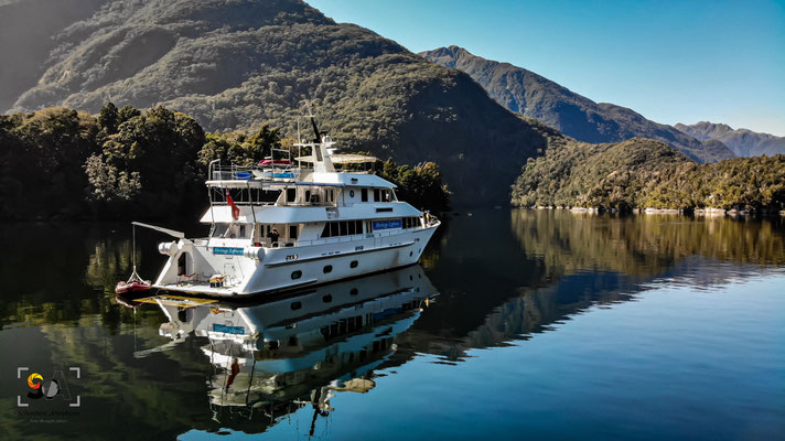 Fiordland, iso 100, f 2.8, 1/100s