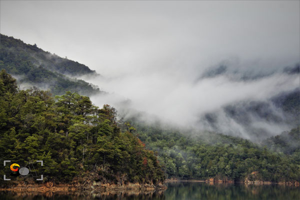 Marlborough sound, iso 200, f 10, 1/100s