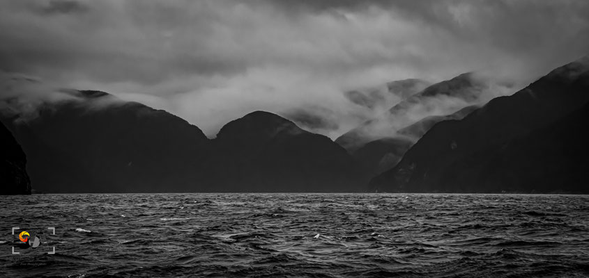 Fiordland, iso 3200, f 14, 1/2000s