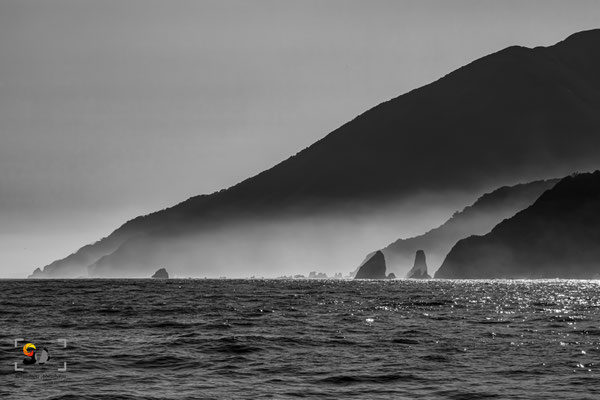 Fiordland, iso 2000, f 20 1/2000s