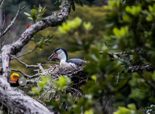 iso 400, f 5.6, 1/800s