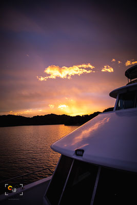 Stewart Island, iso 800, f 4, 1/160s