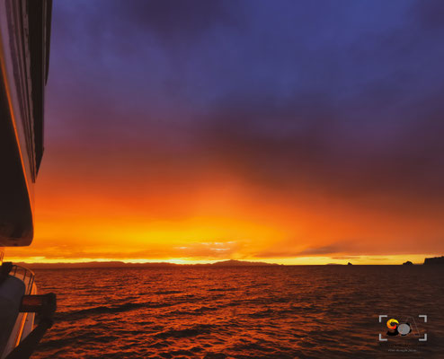 Hauraki golfe, iso 50, f 2.2, 1/50s