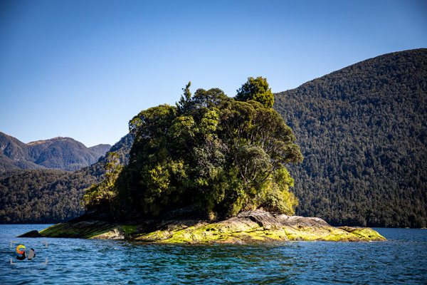Fiordland, iso 500, f 4, 1/640s