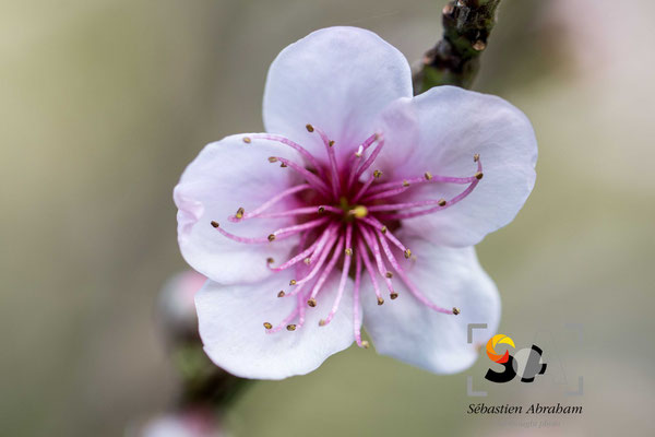 iso 100, f 2.8, 1/160s