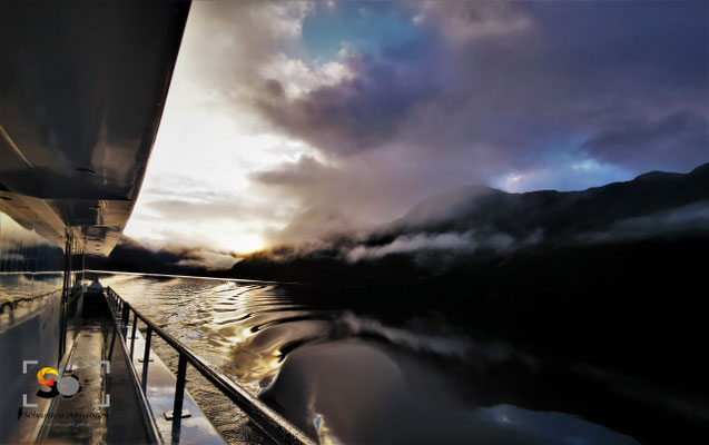Marlborough sound, iso 400, f 3.5, 1/700s