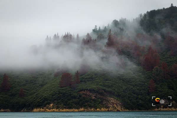 Marlborough sound, iso 400, f 9.0, 1/125s