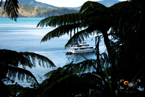 Marlborough sound, iso 150, f 10, 1/125s