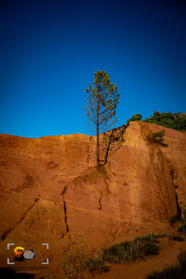 Provence, iso 160, f 4, 1/1000s