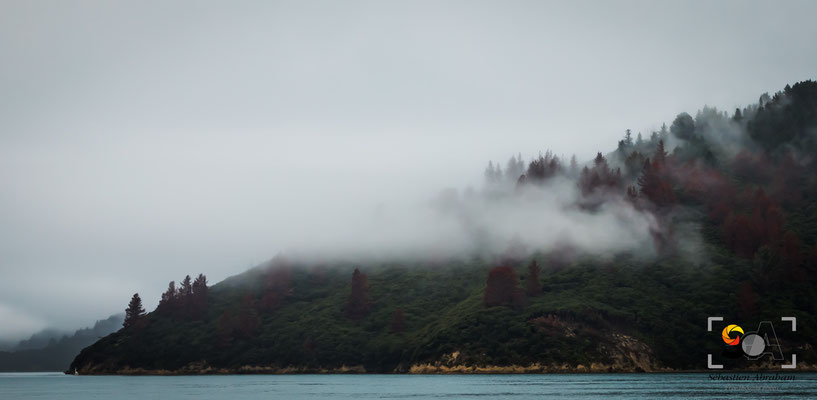 Marlborough sound, iso 400, f 9.0, 1/200s