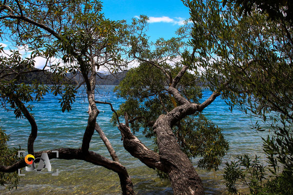 Queen charlotte drive, iso 100, f10, 1/250S