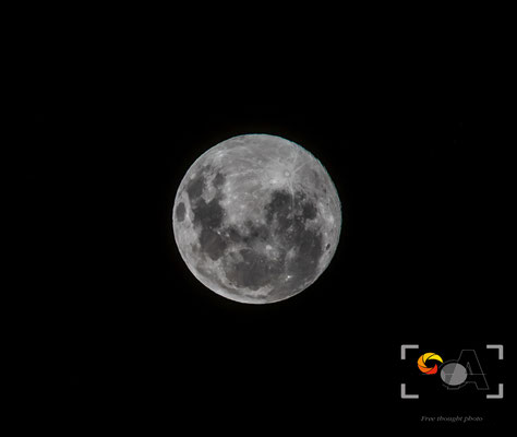 iso 2000, f 6.3, 1/5000s