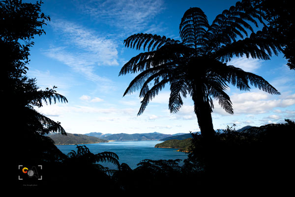 Marlborough sound, iso 1000, f 10, 1/1250s