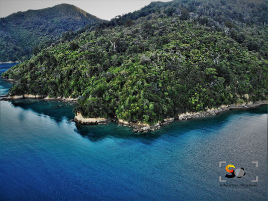 Marlborough sound, iso 100, f 2.8, 1/75s