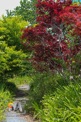 Keirkei, iso 100, f 4.0, 1/250s