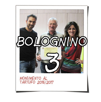 bolognino 3 - Tipolitotecnica