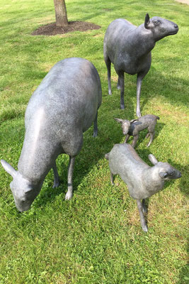 Bronze sheep real size
