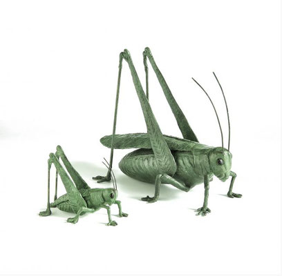 Willemien Fransen Brons / Bronze Sprinkhaan / Grasshopper 40 x 32 cm