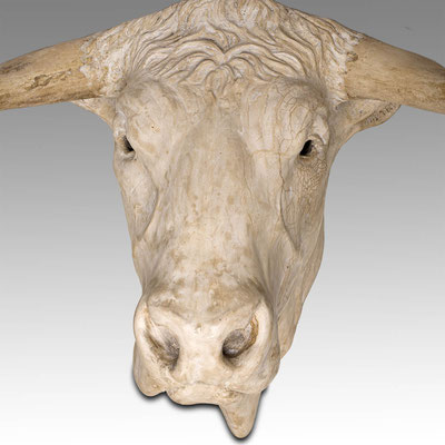 Bull Head 80 cm. Price on request 