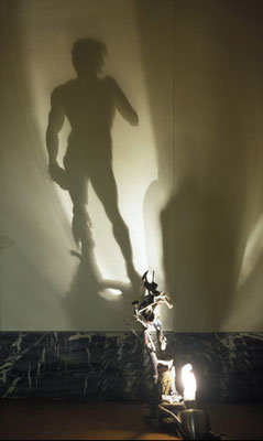 David. Shadow sculpture.