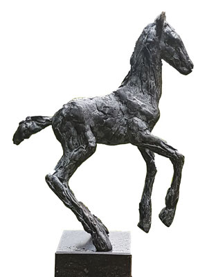 Wilma Hoebee, bronze