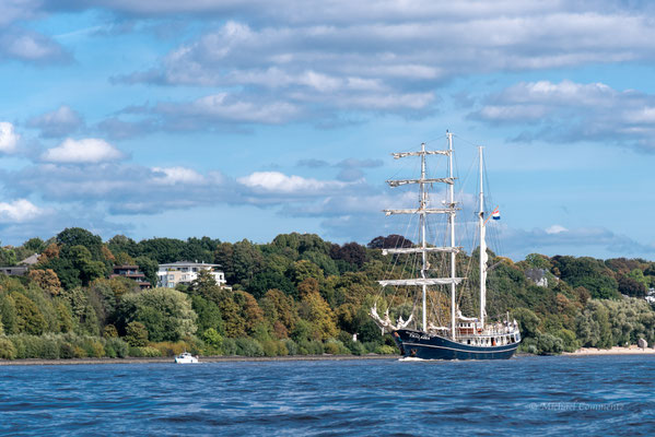 Die "Thalassa" auf der Elbe vor Othmarschen