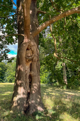 Im Jenischpark, Hamburg