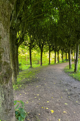 Im Volkspark unterwegs