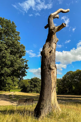 Im Jenischpark, Hamburg
