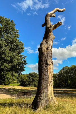 Im Jenischpark, Hamburg