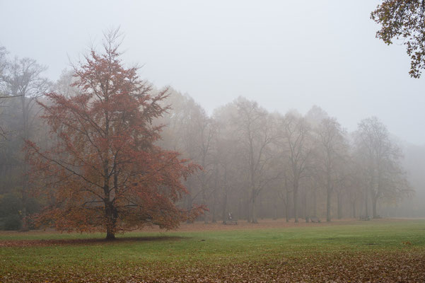 Der Volkspark in Hamburg