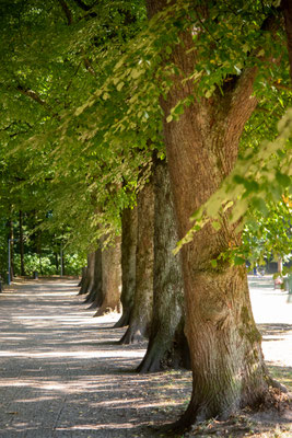 Im Volkspark unterwegs