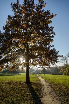 Im Jenischpark Hamburg