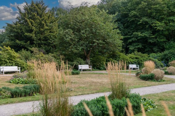 Im Hirschpark unterwegs