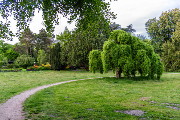 Im Jenischpark