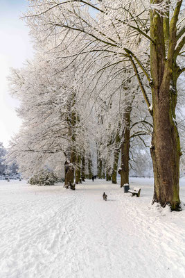 Im Hirschpark Jan. 2026