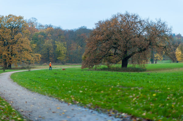 Im Jenischpark Hamburg