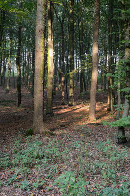 Der Volkspark in Hamburg